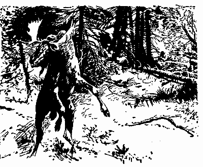 Заповіт мисливця - doc2fb_image_03000017.png