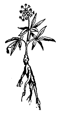 Заповіт мисливця - doc2fb_image_0300001A.png