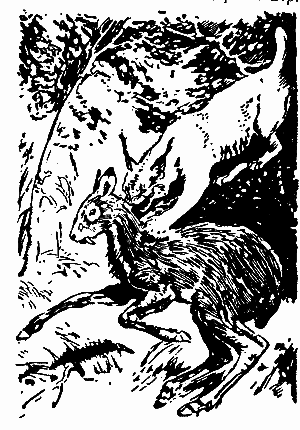 Заповіт мисливця - doc2fb_image_03000021.png