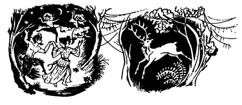 Лев, Чаклунка і стара шафа - _06.jpg