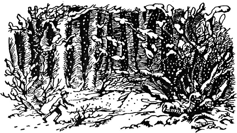 Лев, Чаклунка і стара шафа - _24.jpg