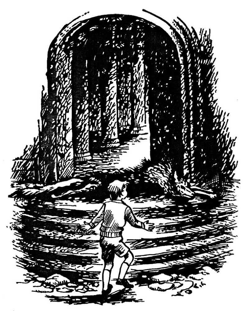 Лев, Чаклунка і стара шафа - _27.jpg