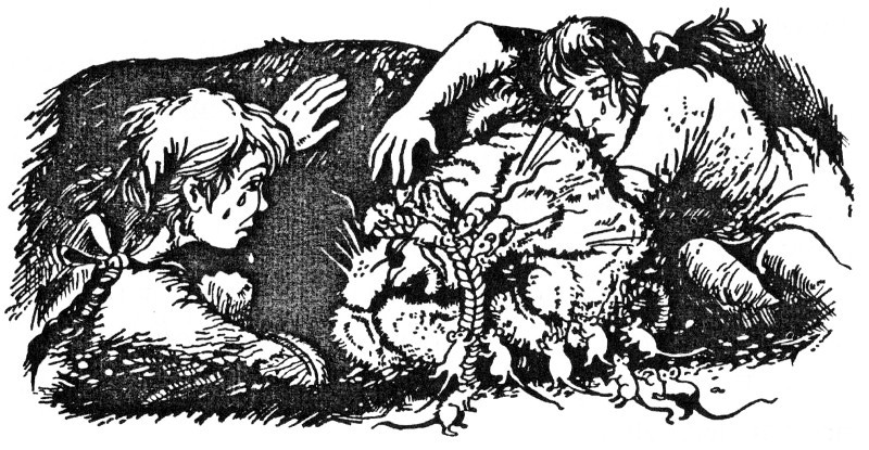 Лев, Чаклунка і стара шафа - _38.jpg