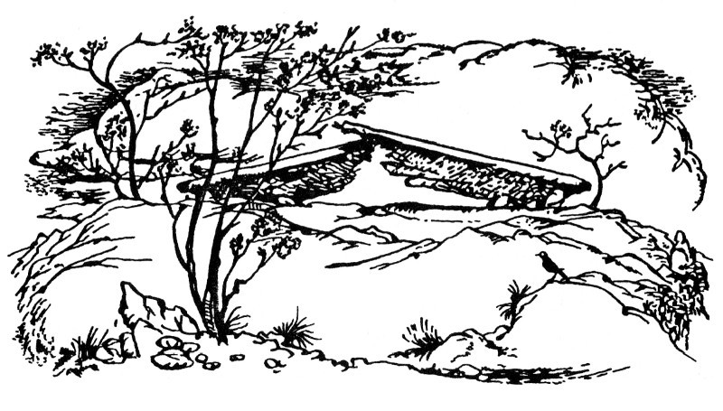 Лев, Чаклунка і стара шафа - _39.jpg