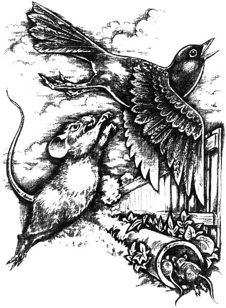 Магнус-Супермыш - img03.png