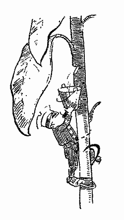 Пригоди Незнайка і його товаришів - i_031.png