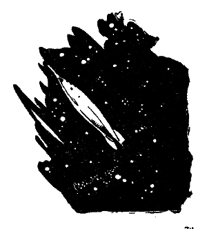 220 днів на зорельоті - i_009.png