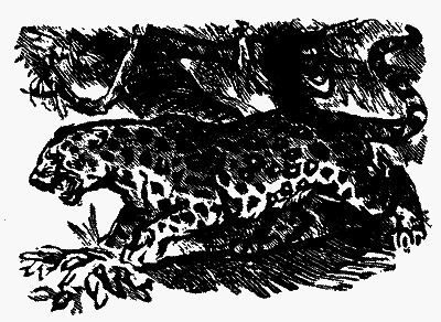 Мисливці за орхідеями - i_011.png