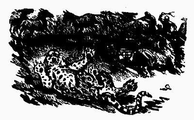 Мисливці за орхідеями - i_013.png