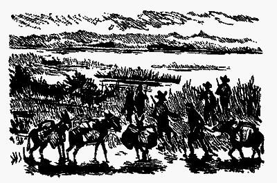 Мисливці за орхідеями - i_017.png