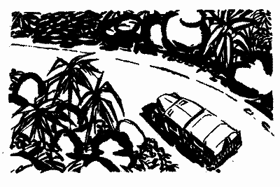 Острів тисячі самоцвітів - i_012.png