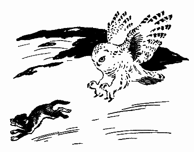 Пригоди Омкая - i_008.png