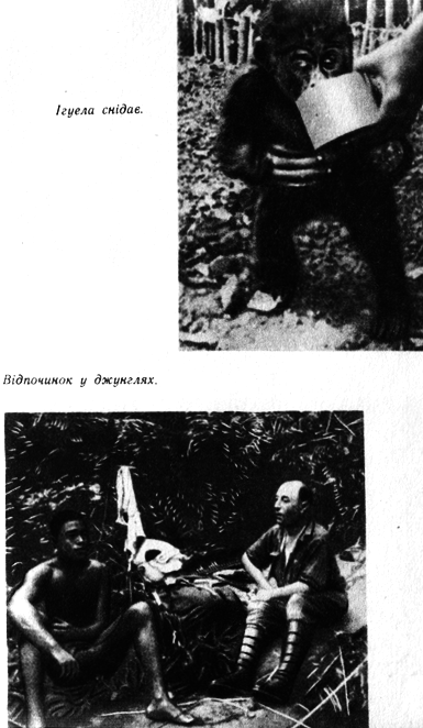 Таємнича Африка - doc2fb_image_0300000B.png