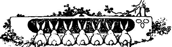 Как краб играл с морем - i_001.jpg