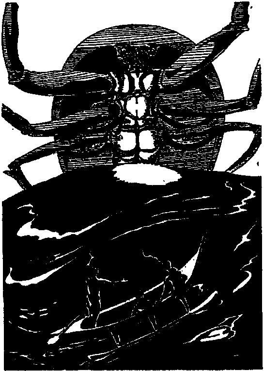 Как краб играл с морем - i_004.jpg