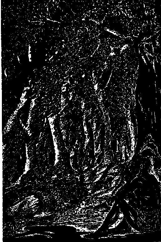 Как леопард получил свои пятна - i_003.jpg