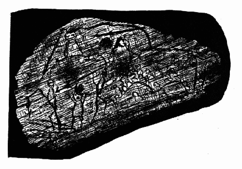 Маленькие сказки (перевод Хавкиной) - i_001.png