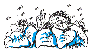 Подарки фей - pic_22.png