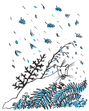 Подарки фей - pic_53.png