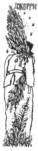 Подарки фей - pic_58.png