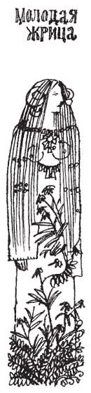 Подарки фей - pic_85.png