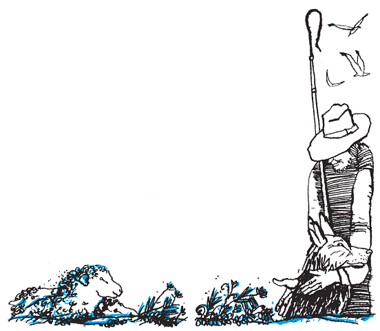 Подарки фей - pic_88.png