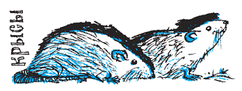 Подарки фей - pic_150.png