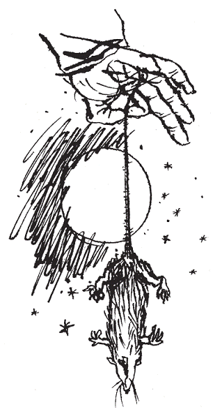 Подарки фей - pic_157.png