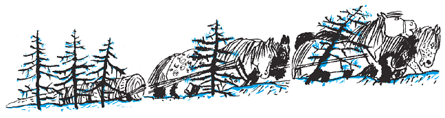 Подарки фей - pic_165.png