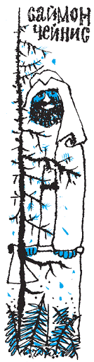 Подарки фей - pic_166.png