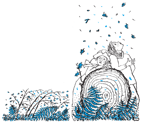 Подарки фей - pic_177.png