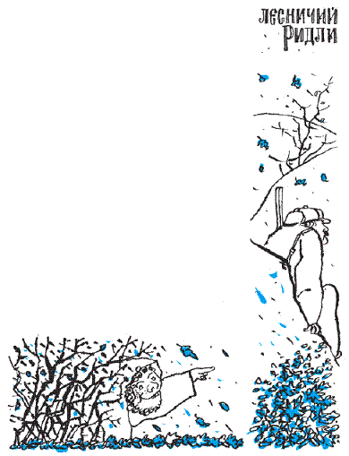 Подарки фей - pic_181.png