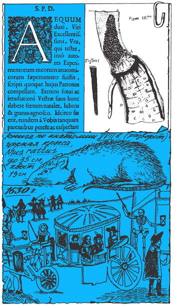 Подарки фей - pic_256.png