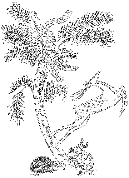 Сказки о животных (сборник) - i_023.png