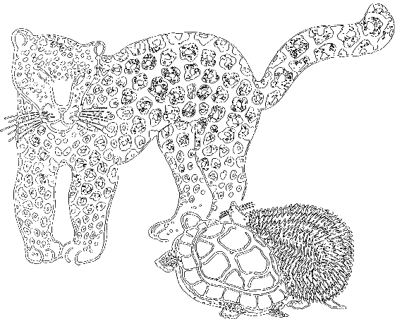 Сказки о животных (сборник) - i_024.png