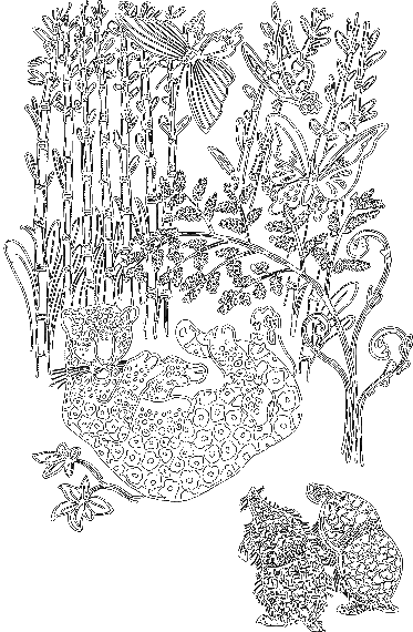 Сказки о животных (сборник) - i_027.png