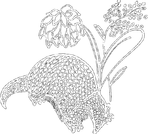 Сказки о животных (сборник) - i_028.png