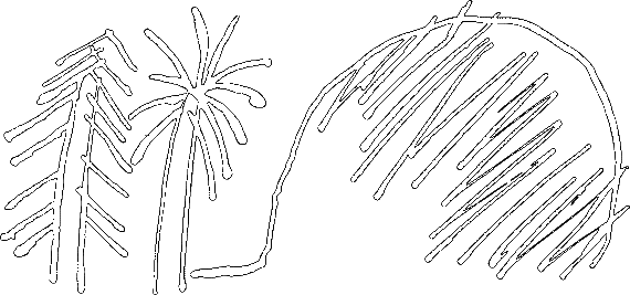 Сказки о животных (сборник) - i_037.png