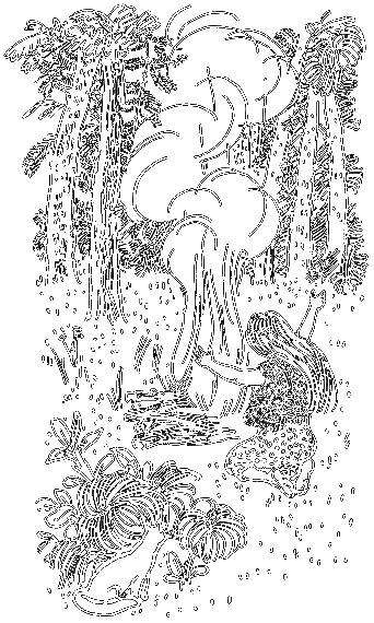 Сказки о животных (сборник) - i_046.png