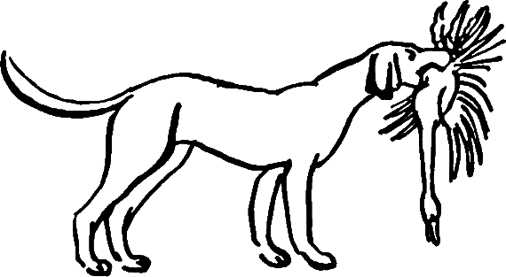 Сказки о животных (сборник) - i_047.png