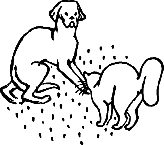 Сказки о животных (сборник) - i_054.png