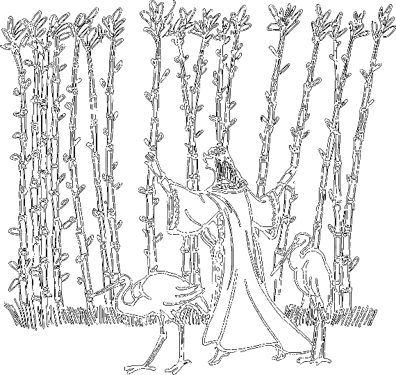 Сказки о животных (сборник) - i_059.png