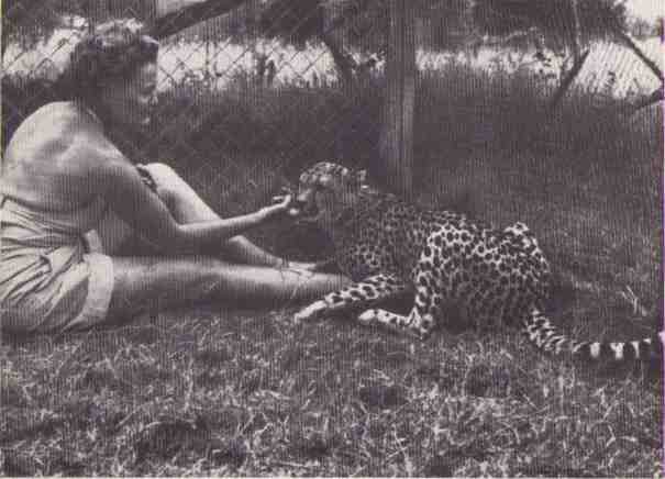 Пятнистый сфинкс. Пиппа бросает вызов (с иллюстрациями) - i_018.jpg