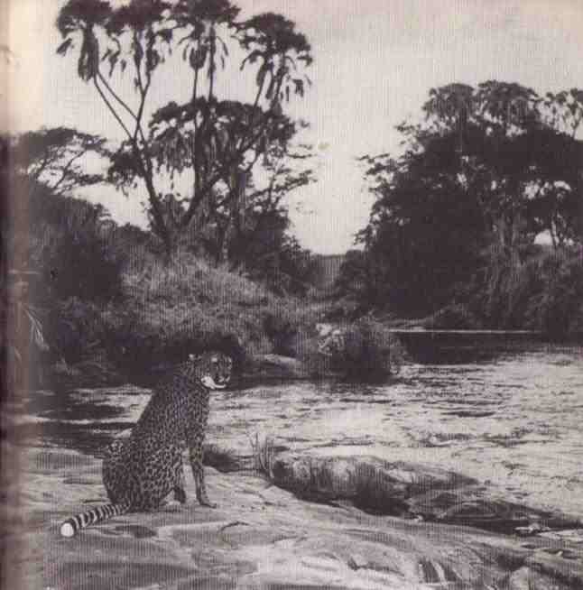 Пятнистый сфинкс. Пиппа бросает вызов (с иллюстрациями) - i_025.jpg