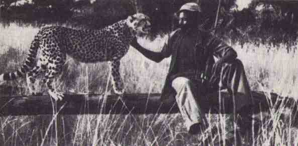 Пятнистый сфинкс. Пиппа бросает вызов (с иллюстрациями) - i_026.jpg