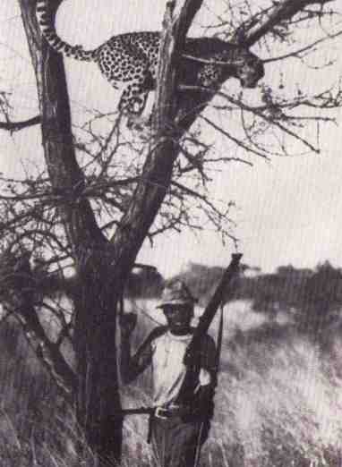 Пятнистый сфинкс. Пиппа бросает вызов (с иллюстрациями) - i_027.jpg