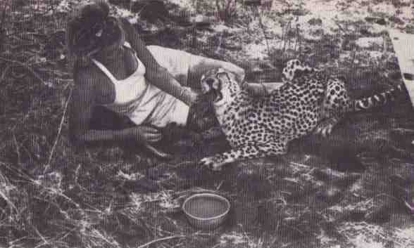 Пятнистый сфинкс. Пиппа бросает вызов (с иллюстрациями) - i_029.jpg