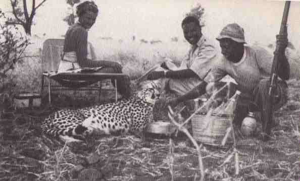 Пятнистый сфинкс. Пиппа бросает вызов (с иллюстрациями) - i_037.jpg