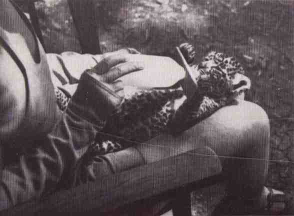 Пятнистый сфинкс. Пиппа бросает вызов (с иллюстрациями) - i_043.jpg