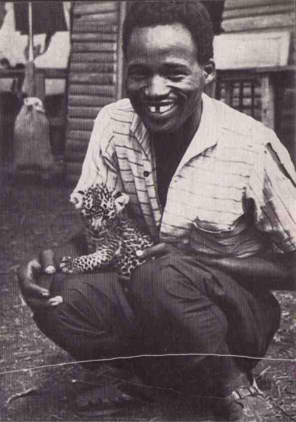 Пятнистый сфинкс. Пиппа бросает вызов (с иллюстрациями) - i_046.jpg